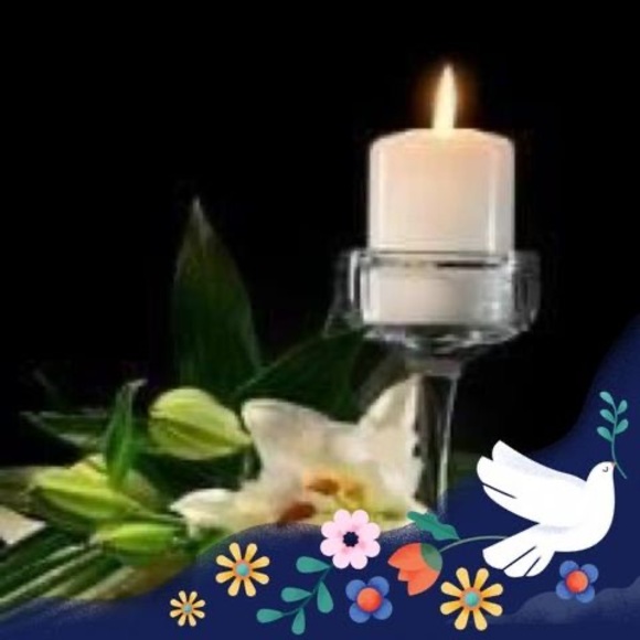 Meet your Posher, Lina - Picture 1 of 1